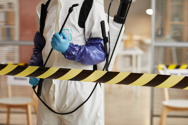 Professional Sewage Cleanup technician working in Oakhurst, TX